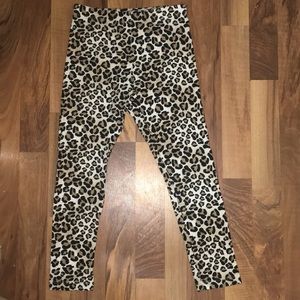 Black and brown Cheetah pants from wonder nation